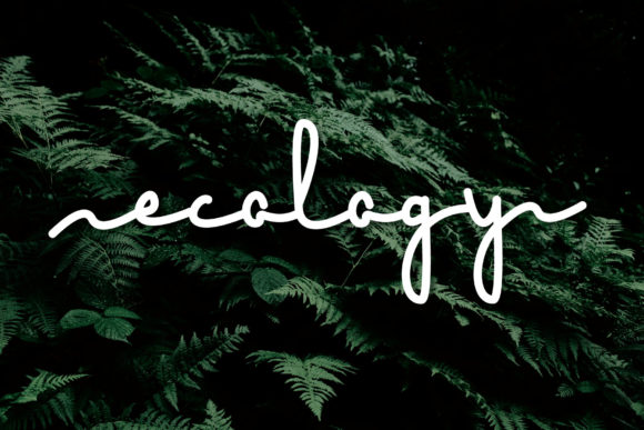 Ecology: A Typeface for Thoughtful Editorial Design
