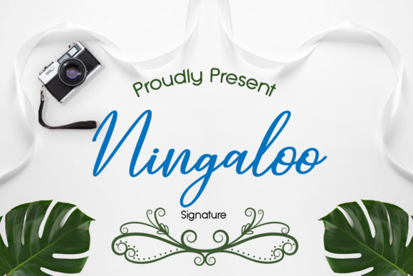 Elegant Handwritten Font: Ningaloo for Web Design