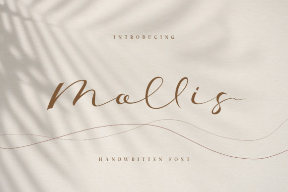 Elevate Your Craft with Mollis: A Premium Script Font