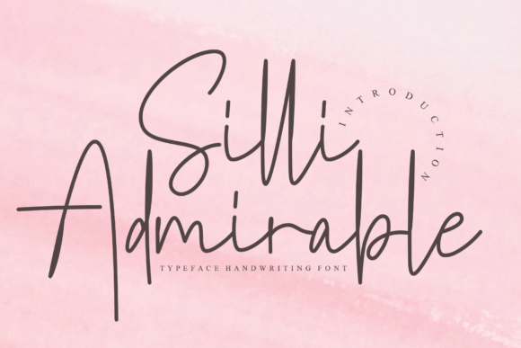 Enhance Your Campaigns with Silli Admirable Font
